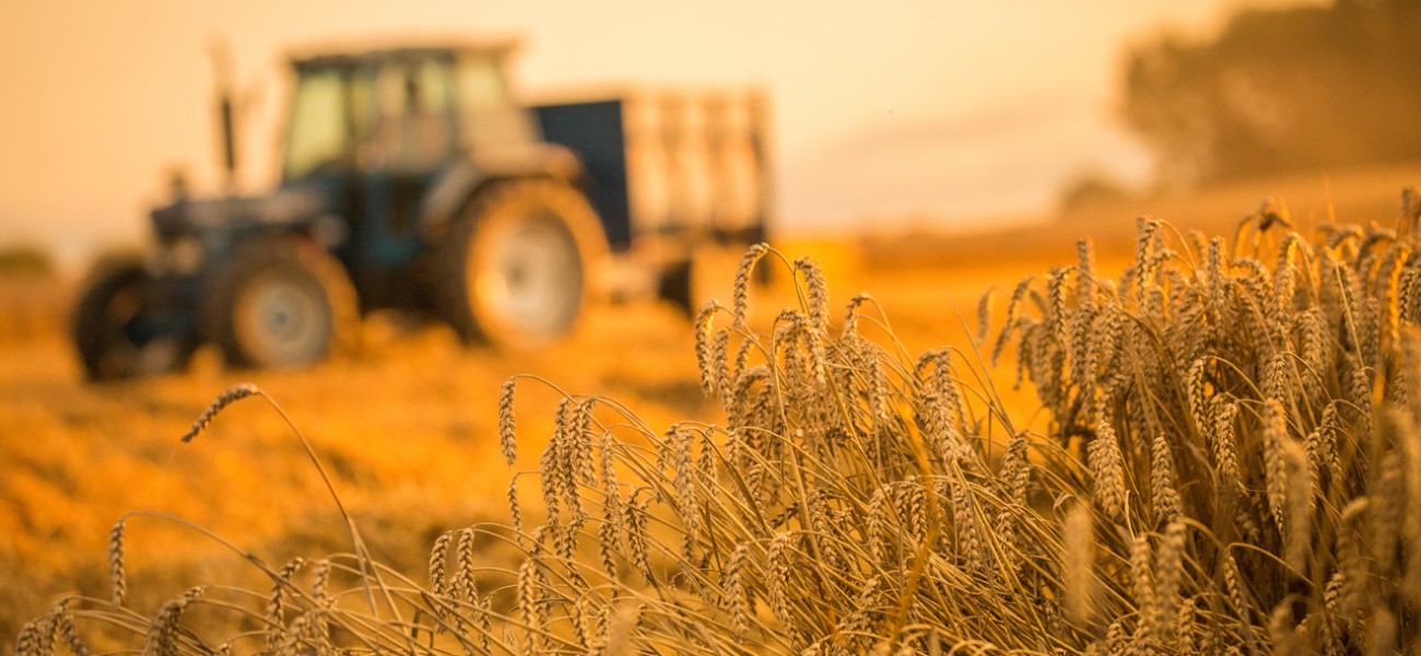Terres agricoles : réduction des droits de succession et des droits de donation en wallonie