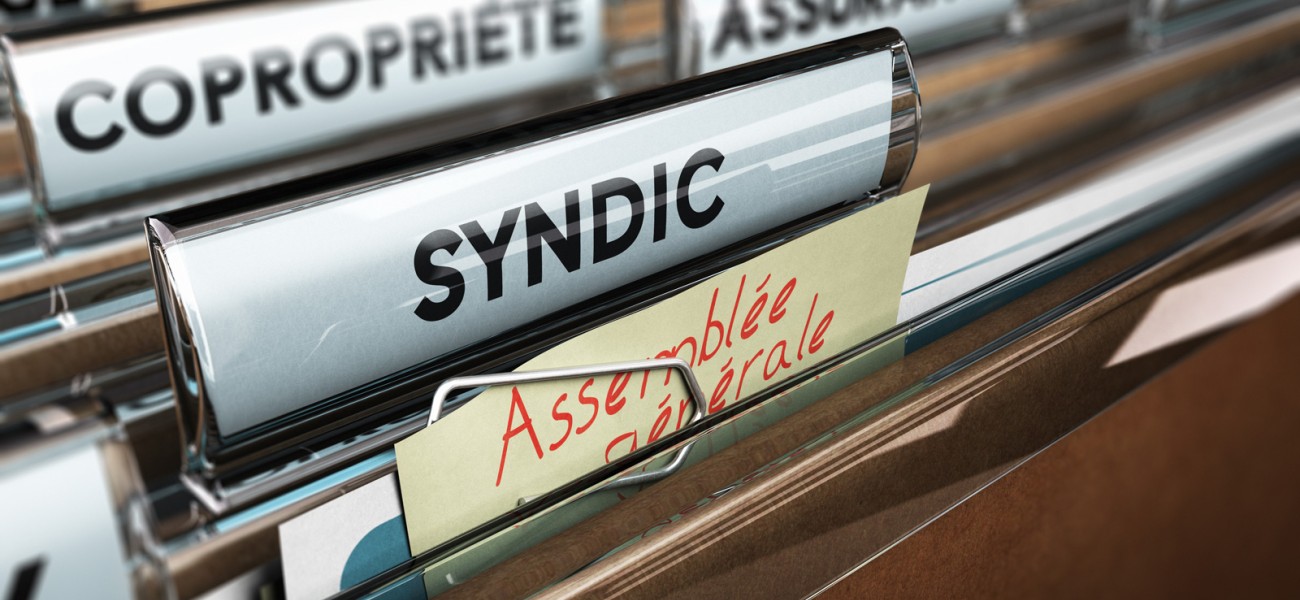 Quand le syndic peut-il agir seul ?